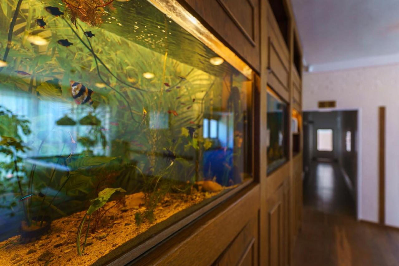 Hotel Hladina Nebrich Εξωτερικό φωτογραφία